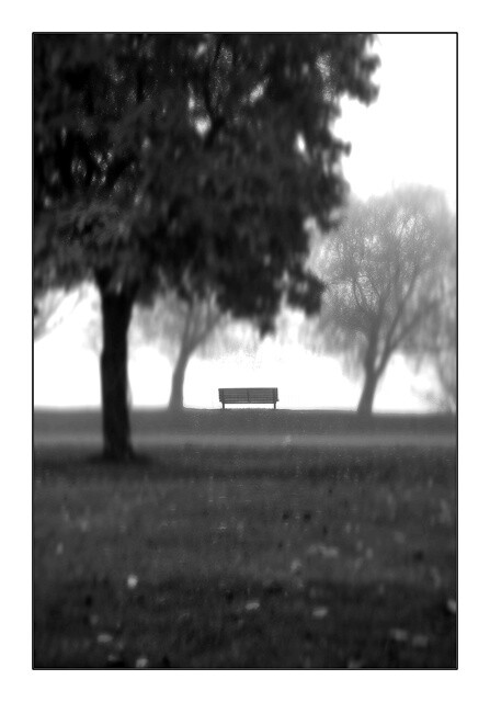 Fotografie mit dem Titel "Park Bench" von Ron Pfister, Original-Kunstwerk