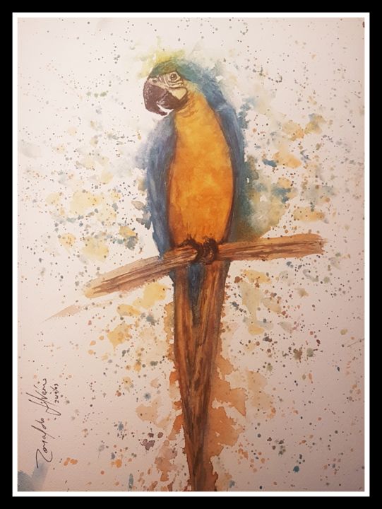 Pintura intitulada "Arara Canindé" por Ronaldo Silvério Da Silva, Obras de arte originais, Aquarela