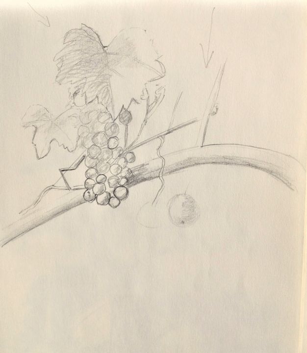 Drawing titled "Vigne" by Ronan Le Morvan, Original Artwork, Pencil