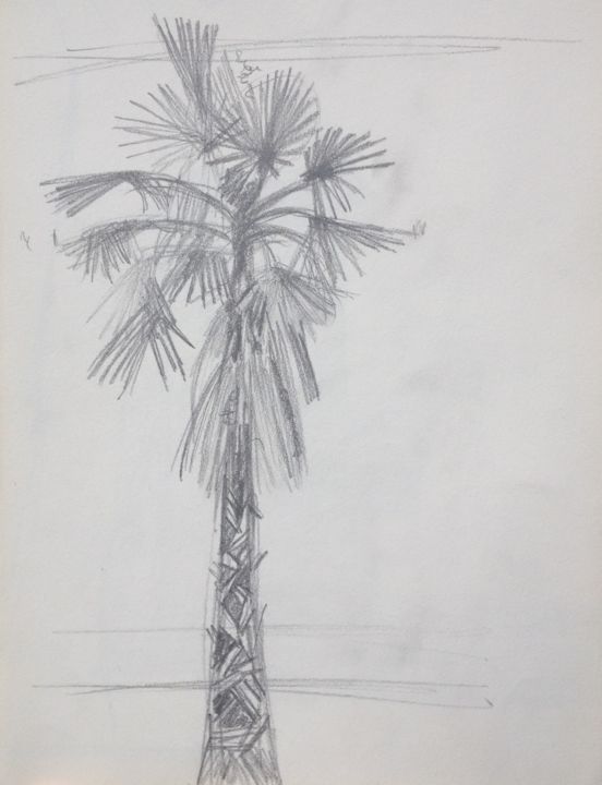 Zeichnungen mit dem Titel "Palmier" von Ronan Le Morvan, Original-Kunstwerk, Bleistift