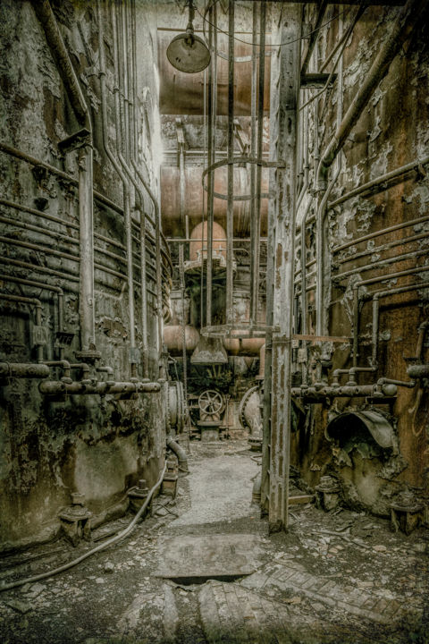 Photographie intitulée "carrie-furnace-7.jpg" par Ronald Santini, Œuvre d'art originale