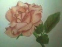 Drawing titled "Autumn Rose" by Laura Franklin, Original Art, Other