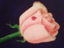 Drawing titled "Spring Rose Bud" by Laura Franklin, Original Art, Other