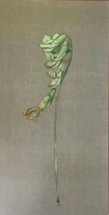 Painting titled "Lathyrus laevigatus" by Rosa Mujal Closa, Original Artwork, Oil Mounted on Wood Stretcher frame