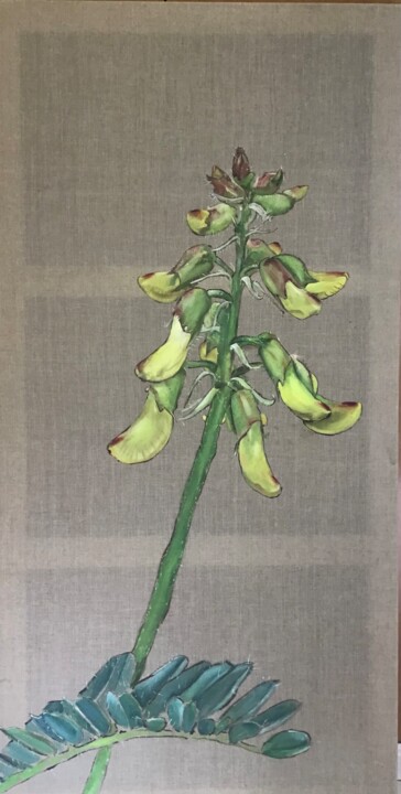 Peinture intitulée "Astragalus pendulif…" par Rosa Mujal Closa, Œuvre d'art originale, Huile Monté sur Châssis en bois