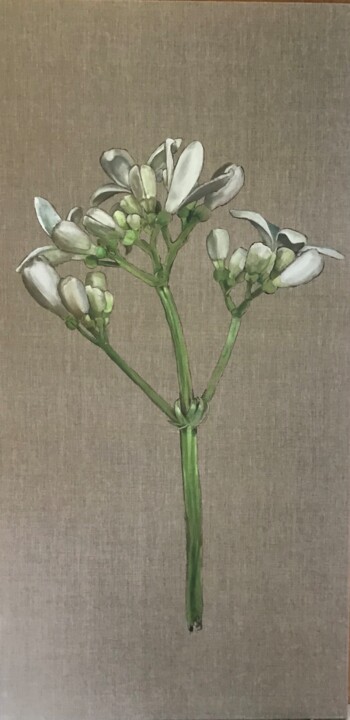 Painting titled "Galium odoratum" by Rosa Mujal Closa, Original Artwork, Oil Mounted on Wood Stretcher frame