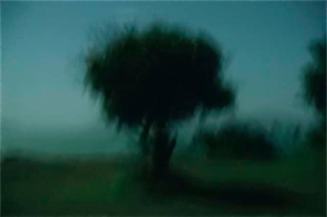 Φωτογραφία με τίτλο "Solitude" από Helene Rosanove, Αυθεντικά έργα τέχνης