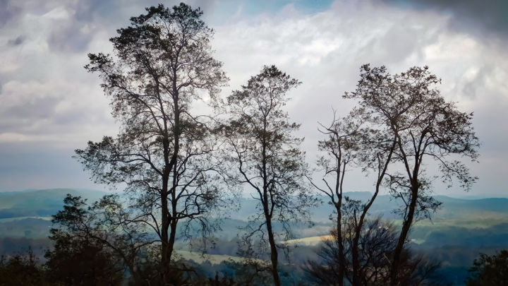Fotografia intitolato "'Blue Mountains' -…" da Natures Generations, Opera d'arte originale, Fotografia digitale