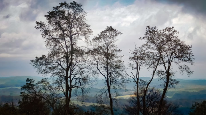 Photography titled "'Blue Mountains' -…" by Natures Generations, Original Art, Digital Photography