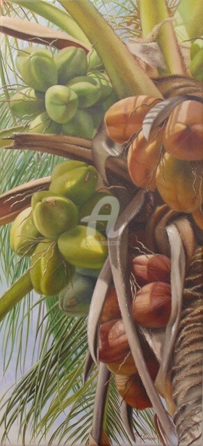Painting titled "Cocos.jpg" by Rose Fernandes, Original Artwork, Oil