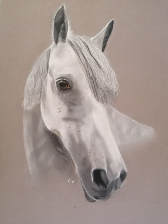 Drawing titled "Cheval robe blanche" by Rose Renoir, Original Artwork, Pastel