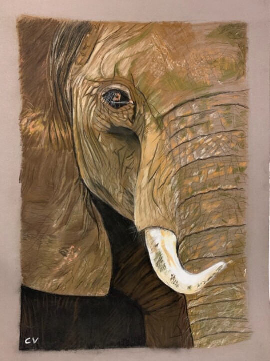 Drawing titled "Elephant" by Rose Renoir, Original Artwork, Pastel