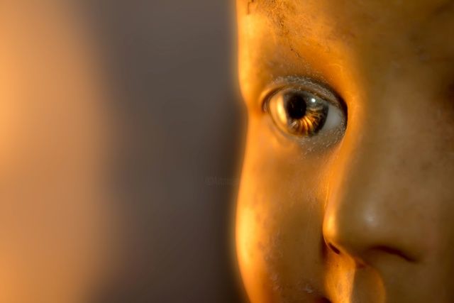 Photographie intitulée "Almost Alive" par Rose Dub, Œuvre d'art originale,
