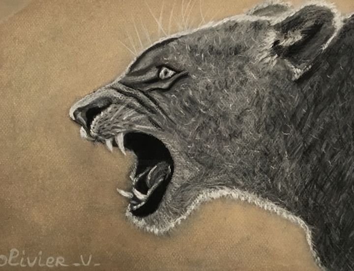 Drawing titled "Lionne" by Roseline Pederencino Et Olivier Villella, Original Artwork, Pencil