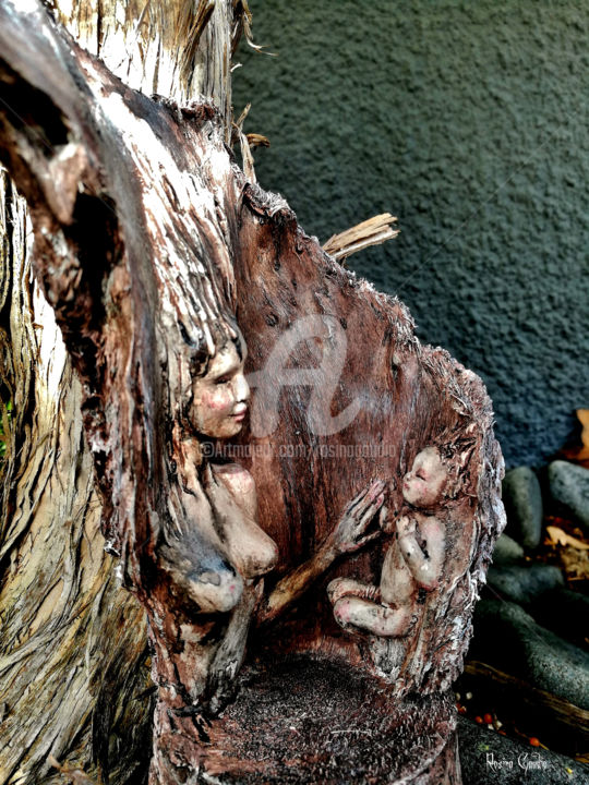 Sculpture intitulée "Mother nature" par Rosina Gaudio, Œuvre d'art originale, Bois