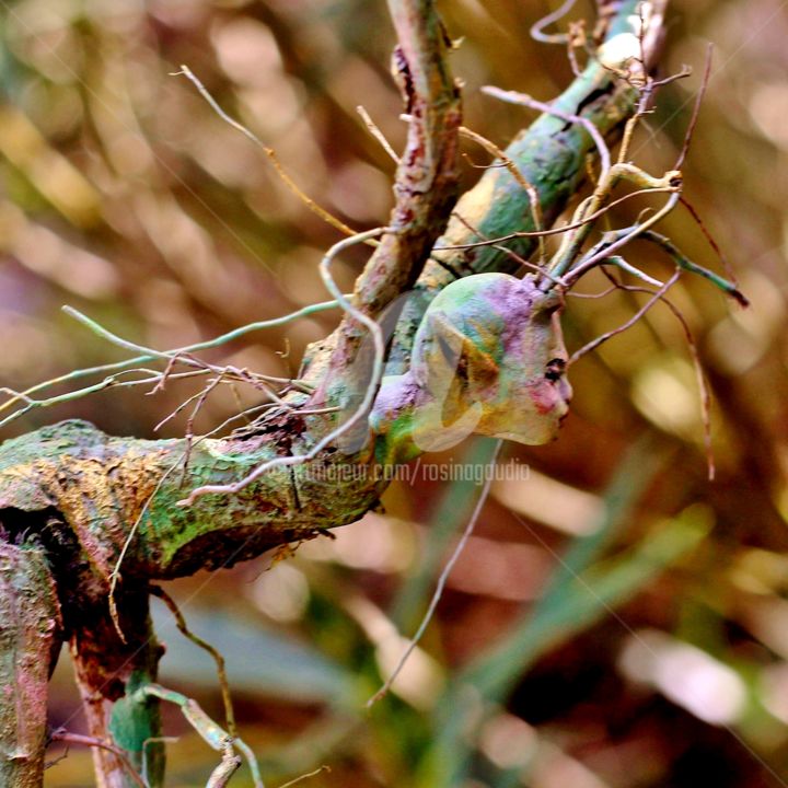 Escultura intitulada "Colorful Friend" por Rosina Gaudio, Obras de arte originais, Madeira