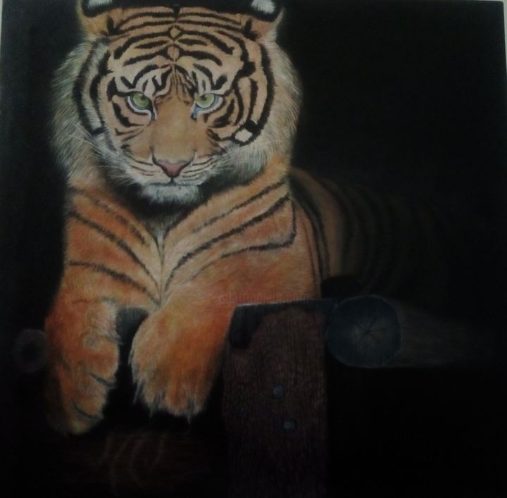 Peinture intitulée "Le Tigre d india" par Schwarz Blume, Œuvre d'art originale, Acrylique