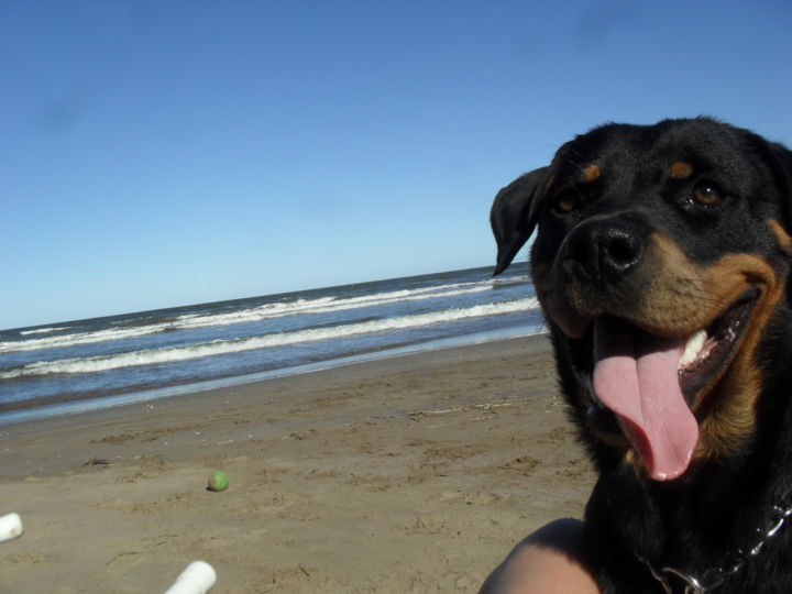 Photography titled "Hannah on the Beach" by Rowena Rider, Original Artwork, Digital Photography