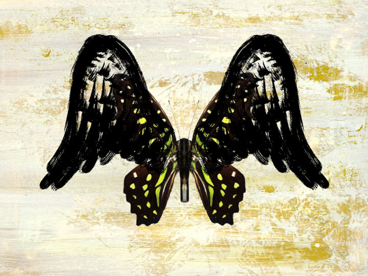 Digital Arts titled "Angel Wings 8" by Roxana Ferllini, Original Artwork, Photo Montage