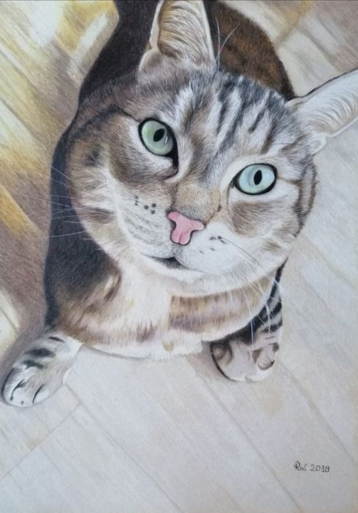 Dessin intitulée "Mitsy" par Roxane Le Tétour, Œuvre d'art originale, Crayon