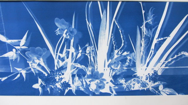 Art textile intitulée "13-cyanotype-001.jpg" par Roxanne Frazer, Œuvre d'art originale