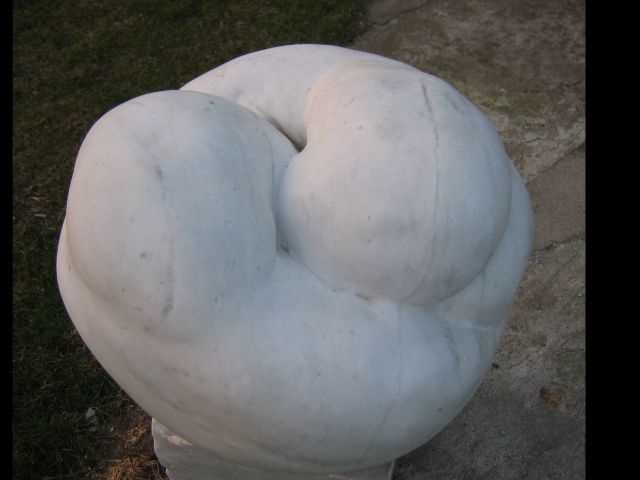 Sculptuur getiteld "para" door Ryszard Piotrowski, Origineel Kunstwerk, Steen
