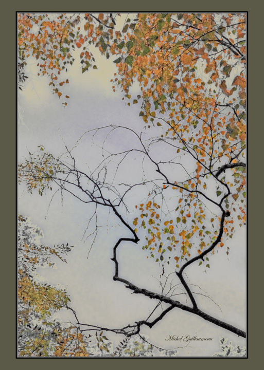 Photographie intitulée "Estampe d'automne" par Michel Guillaumeau, Œuvre d'art originale, Photographie numérique