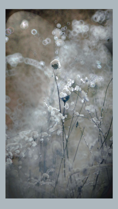 摄影 标题为“Ballerines de neige” 由Michel Guillaumeau, 原创艺术品, 数码摄影