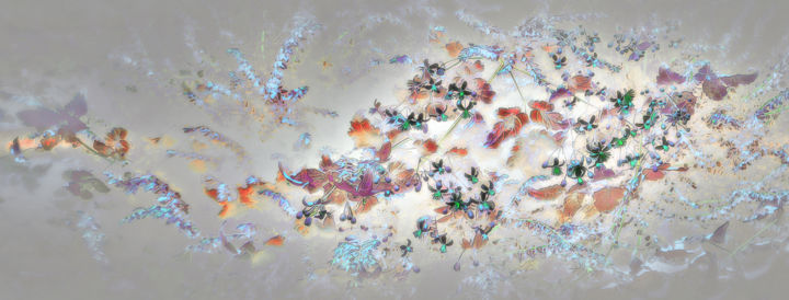 Photographie intitulée "Nébuleuse florale" par Michel Guillaumeau, Œuvre d'art originale, Photographie numérique