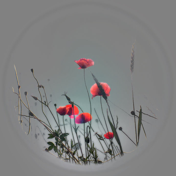 Photographie intitulée "L'aube des fleurs" par Michel Guillaumeau, Œuvre d'art originale, Photographie numérique