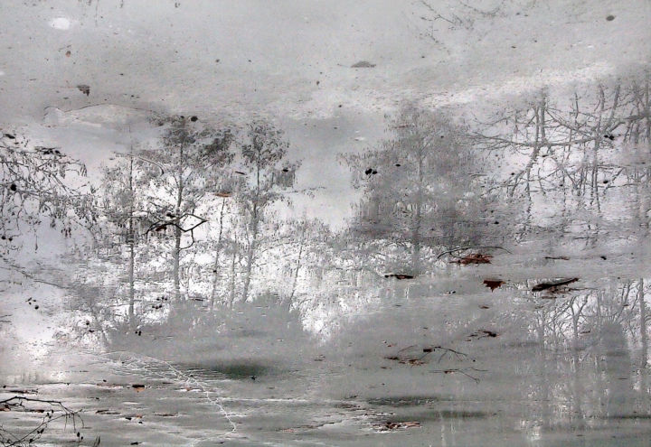 "Réve d'hiver" başlıklı Fotoğraf Michel Guillaumeau tarafından, Orijinal sanat, Dijital Fotoğrafçılık