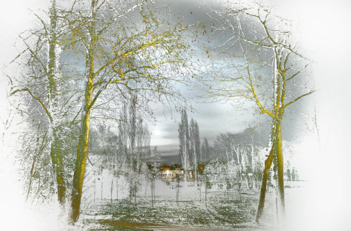 Fotografia intitolato "Nuit d'hiver" da Michel Guillaumeau, Opera d'arte originale, Fotografia manipolata