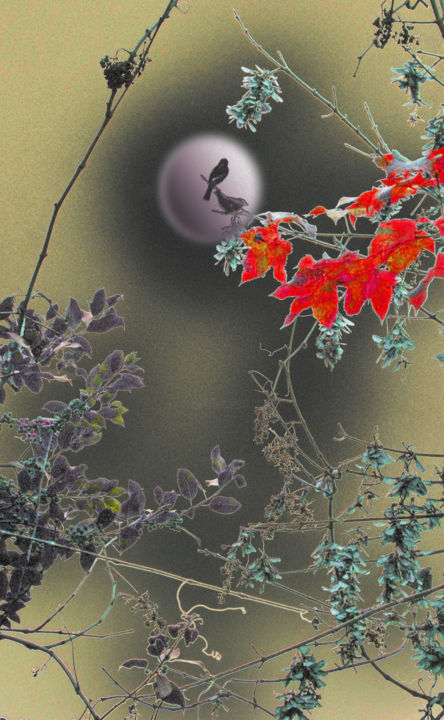 Photographie intitulée "Nuit de Chine ..." par Michel Guillaumeau, Œuvre d'art originale, Photographie manipulée