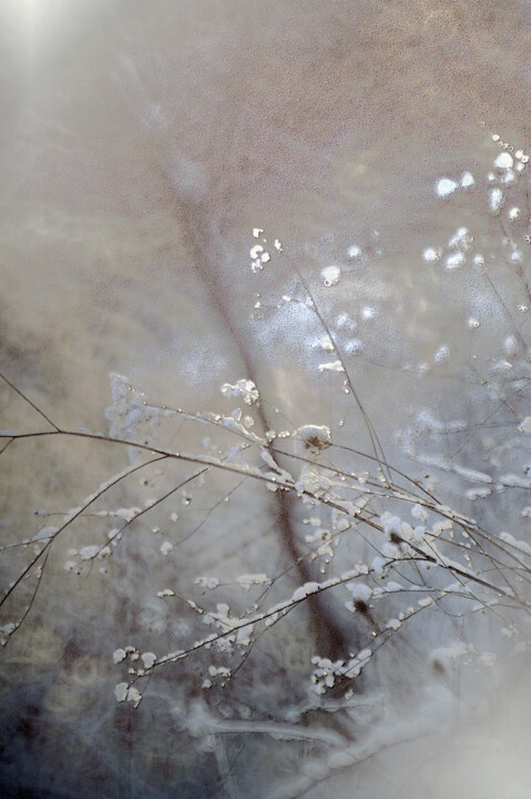 Photographie intitulée "Il neige..." par Michel Guillaumeau, Œuvre d'art originale, Photographie numérique