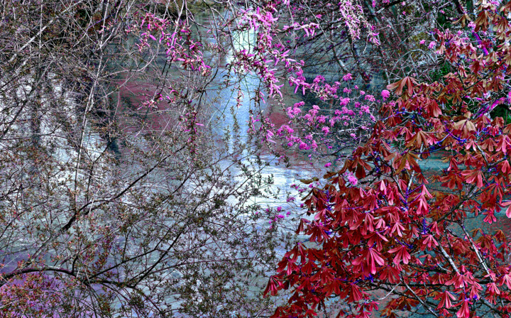 Photographie intitulée "Frais matin d'avril" par Michel Guillaumeau, Œuvre d'art originale, Photographie numérique