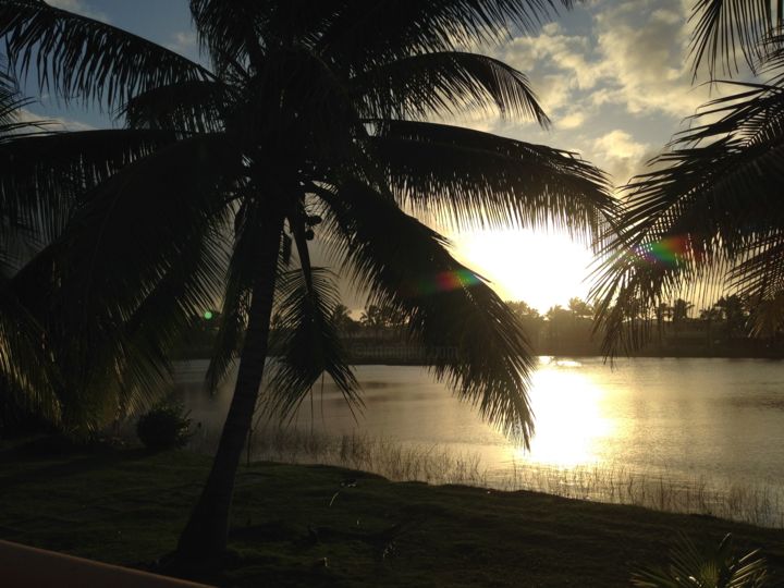 Fotografia intitulada "Coconut Trees" por Rafaela Sabino, Obras de arte originais,