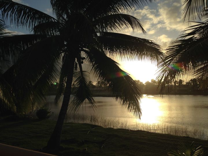 Fotografia intitulada "Coconut Trees" por Rafaela Sabino, Obras de arte originais