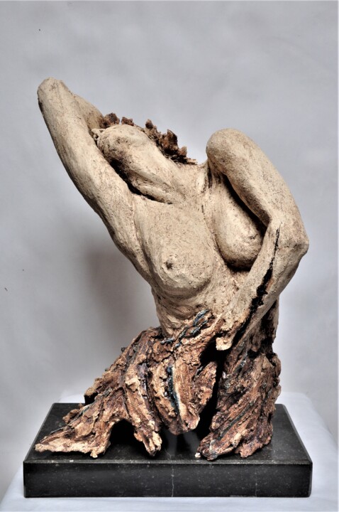 Sculpture titled "Struggle for life" by Rudy Dewaele, Original Artwork, Ceramics