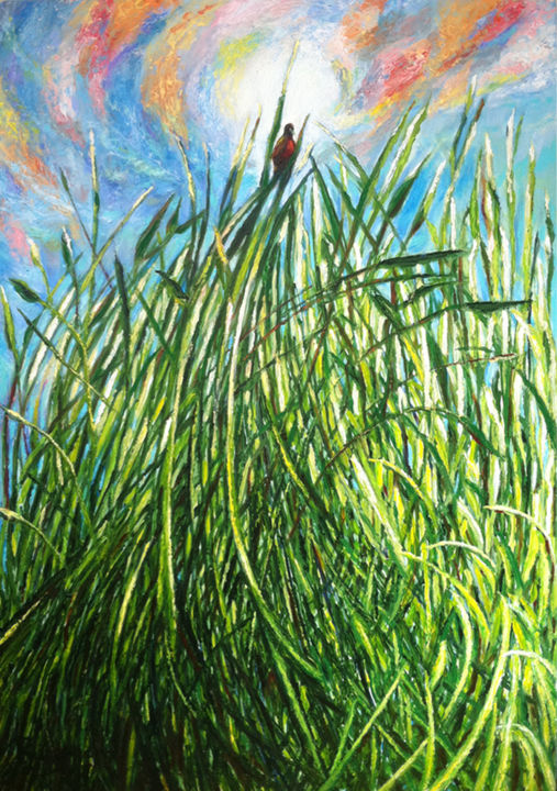 Oiseau Perché Dans Les Hautes Herbes Peinture Par Ruisegord Artmajeur