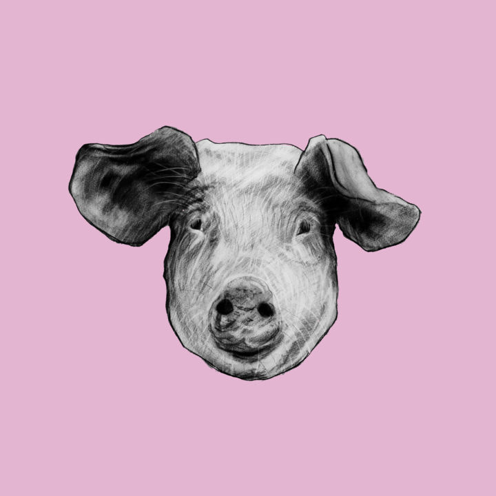 图画 标题为“pig” 由Rupert Cefai, 原创艺术品, 木炭