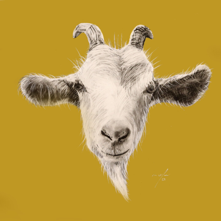 Dibujo titulada "anim ¦ goat" por Rupert Cefai, Obra de arte original, Carbón
