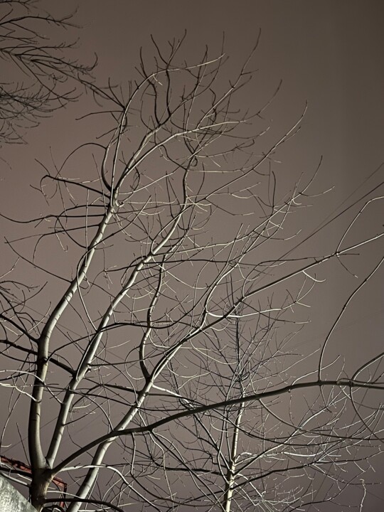 Photographie intitulée "Grey" par Ruslan Aboev, Œuvre d'art originale, Photographie numérique