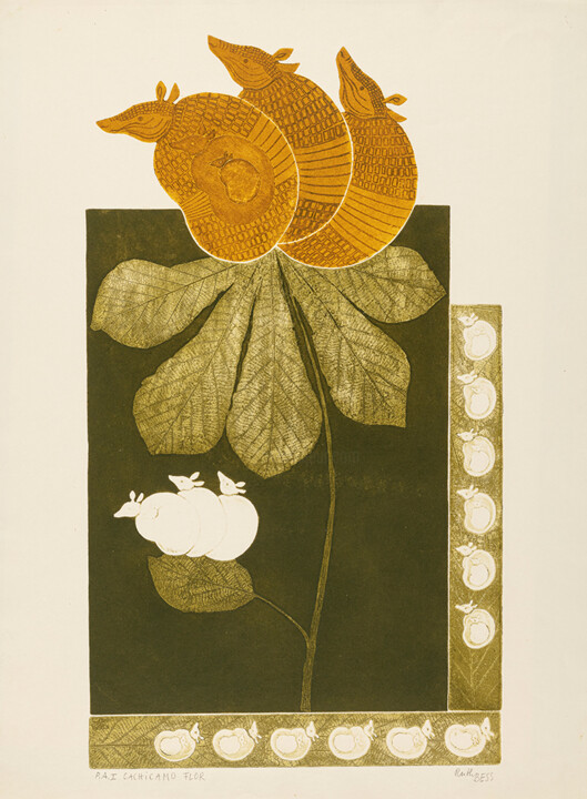 Gravures & estampes intitulée "Cachicamo Flor" par Ruth Bess, Œuvre d'art originale, Eau-forte