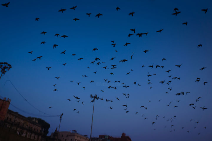 Fotografie getiteld "Morning birds, Bena…" door Ruud Kimmelaar, Origineel Kunstwerk, Digitale fotografie