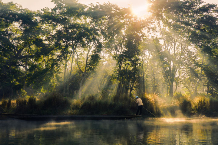 Photographie intitulée "Jungle Dawn" par Ruud Kimmelaar, Œuvre d'art originale, Photographie numérique