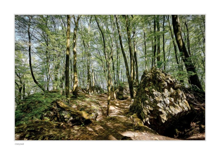 Fotografia zatytułowany „Już nawet nie cień” autorstwa Ryszard Stelmachowicz, Oryginalna praca, Fotografia cyfrowa