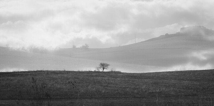 Photographie intitulée "The Solitary Sentin…" par Sergio Capuzzimati, Œuvre d'art originale, Photographie numérique