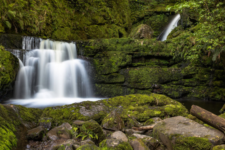 Fotografia zatytułowany „Cascade de végétati…” autorstwa Stéphane Machefer, Oryginalna praca, Fotografia cyfrowa