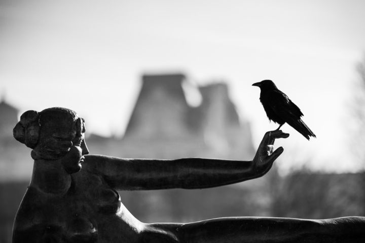 Fotografie getiteld "le corbeau et la dé…" door Stéphane Machefer, Origineel Kunstwerk, Digitale fotografie