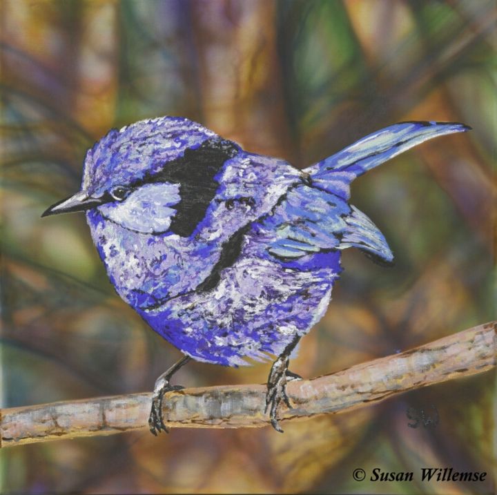 Painting titled "Splendid Fairy Wren" by Susan Willemse, Original Art, Acrylic Mounted on Stretcher frame